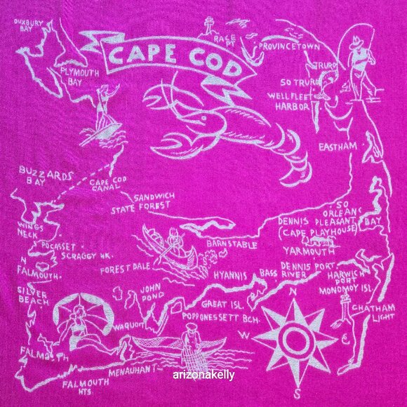 RARE J. Crew *PINK* Wool Scarf Cape Cod Map Massachusetts Beach Provincetown - Picture 4 of 13